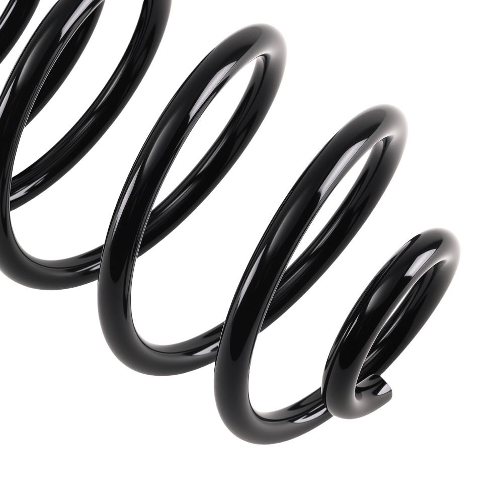 Pair Rear OE Coil Springs compatible for Buick Skylark compatible for Chevrolet Malibu Pontiac LeMans