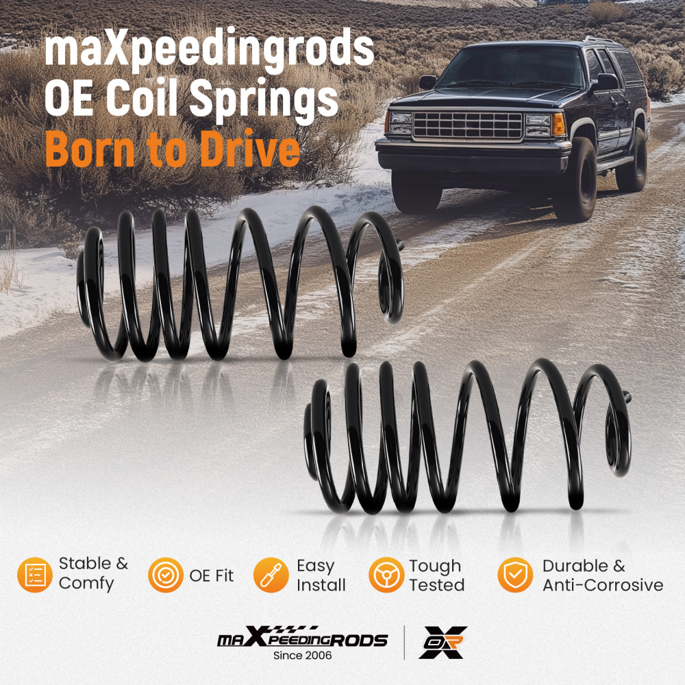 Pair Rear OE Coil Springs compatible for Buick Skylark compatible for Chevrolet Malibu Pontiac LeMans