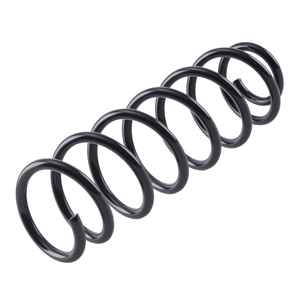 2x Coil Spring Rear Suspension compatible for Renault Megane III 1.2 1.4 1.5 08-16 RA6147