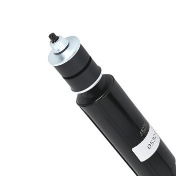 Rear Shock Absorber Assembly Left Right compatible for Dodge Ram 1500 3.7L 4.7L 5.7L 04-05