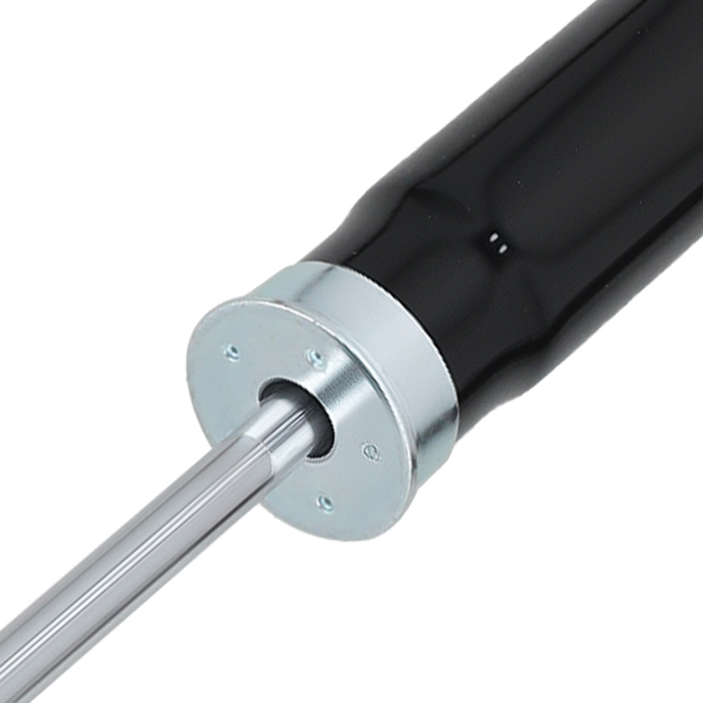 2x Ammortizzatore compatibile per Ford Focus 2004-2012 compatibile per Volvo V50 S40 C30 30635523 Posteriore