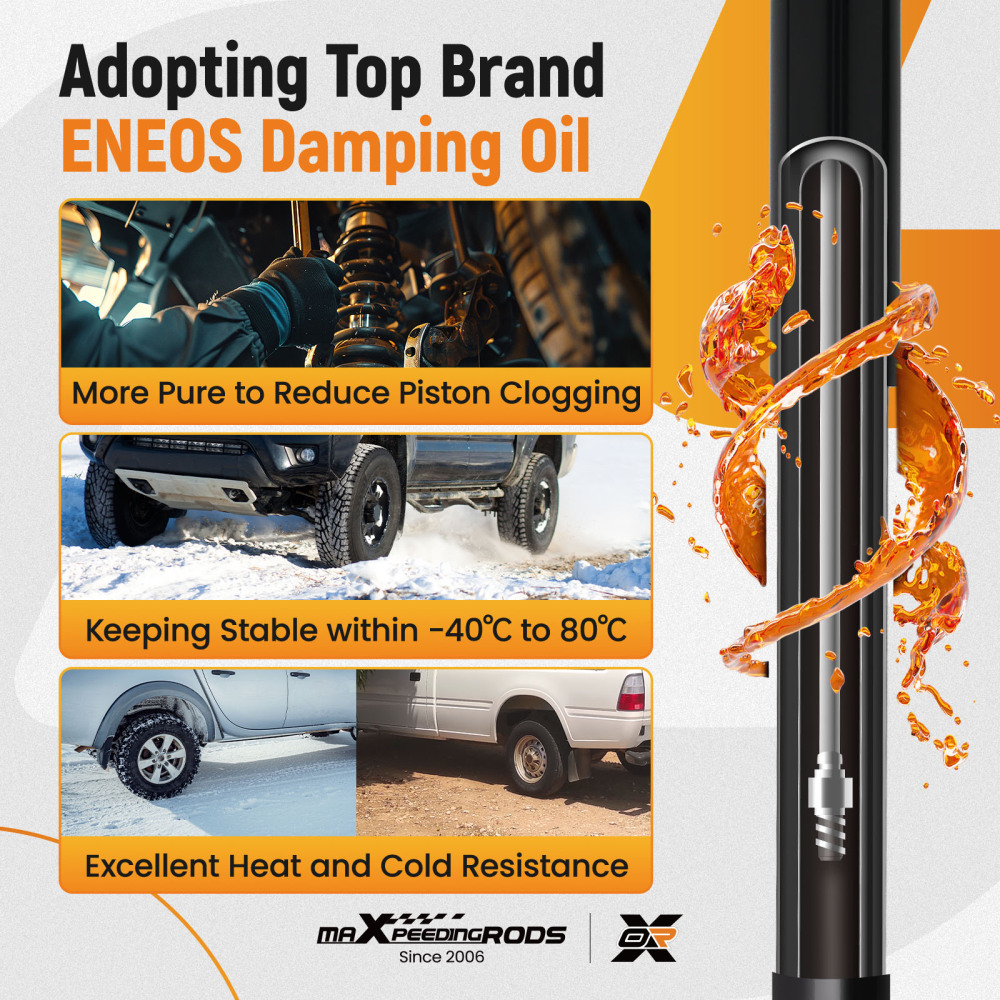 Pair Rear Struts Shocks Set LeftRight compatible for Ford Mustang 2005-2014 5.0L 5.4L