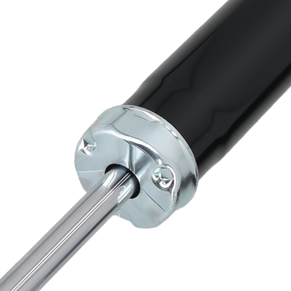 2x Ammortizzatori Posteriori compatibile per PEUGEOT 307 2000-2012 C4 5206CS 344407