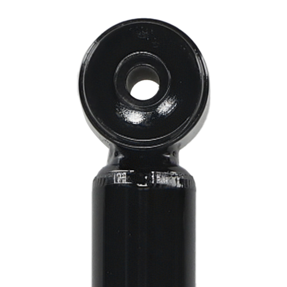 2x Ammortizzatori Posteriori compatibile per PEUGEOT 307 2000-2012 C4 5206CS 344407