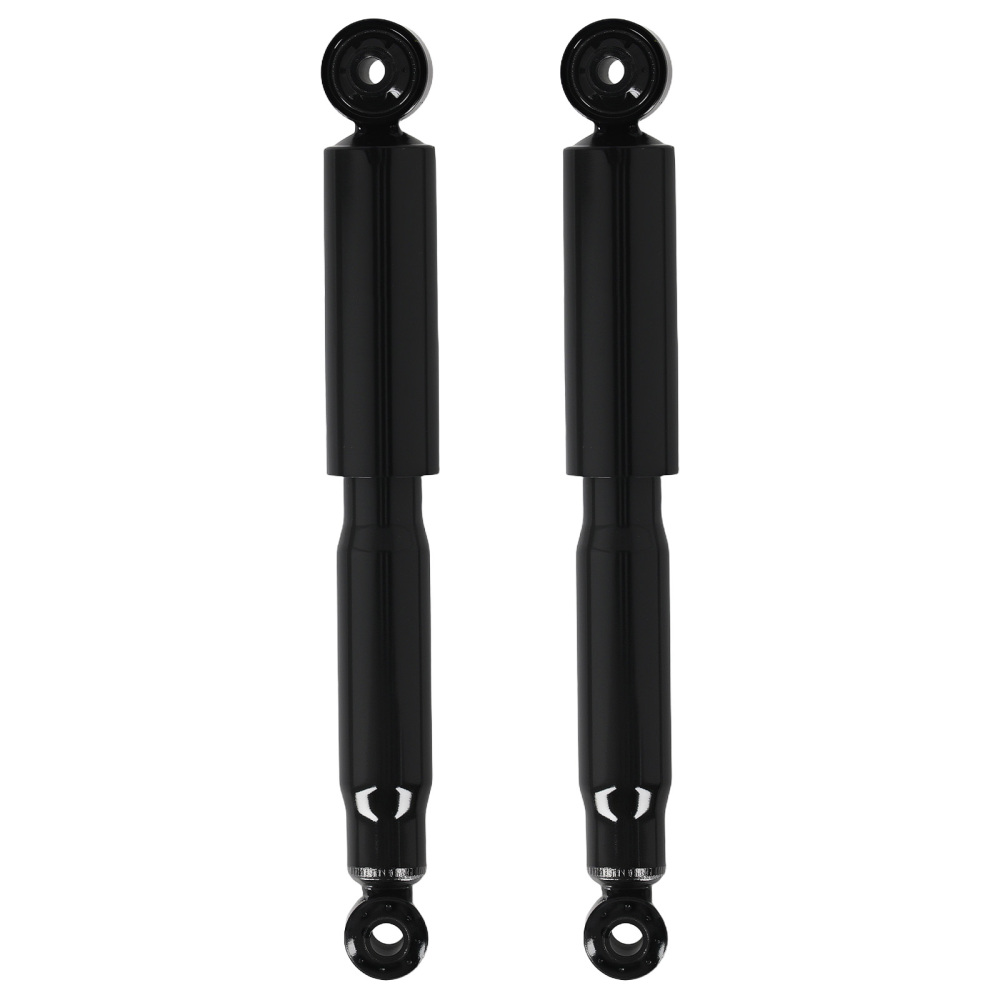 2x Ammortizzatore Posteriore compatibile per Opel Astra 04-14 436315 436324 93148274