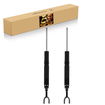 2 Ammortizzatori Anteriori compatibile per Audi A6 C6 4F2 4F5 Sinistro Destro 341822