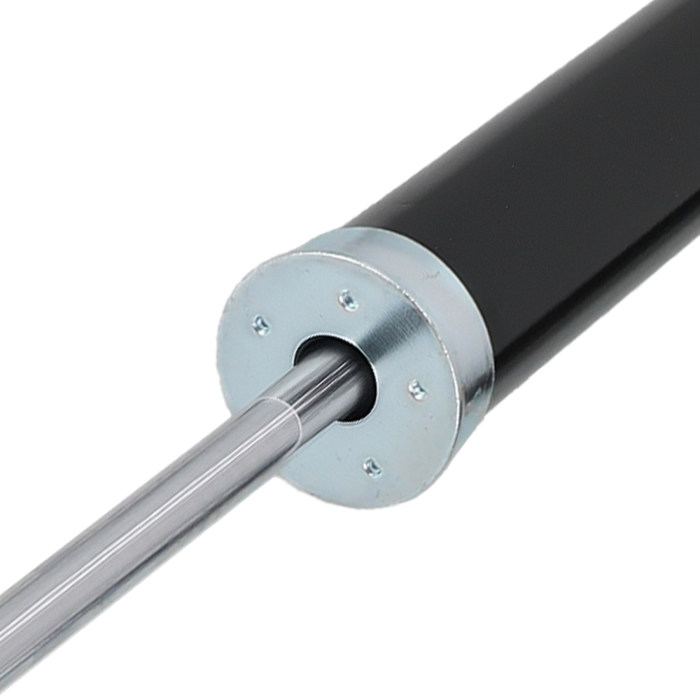 2x Ammortizzatore Posteriore compatibile per Ford Fiesta 2008-2018 1514407 8V5118080BC