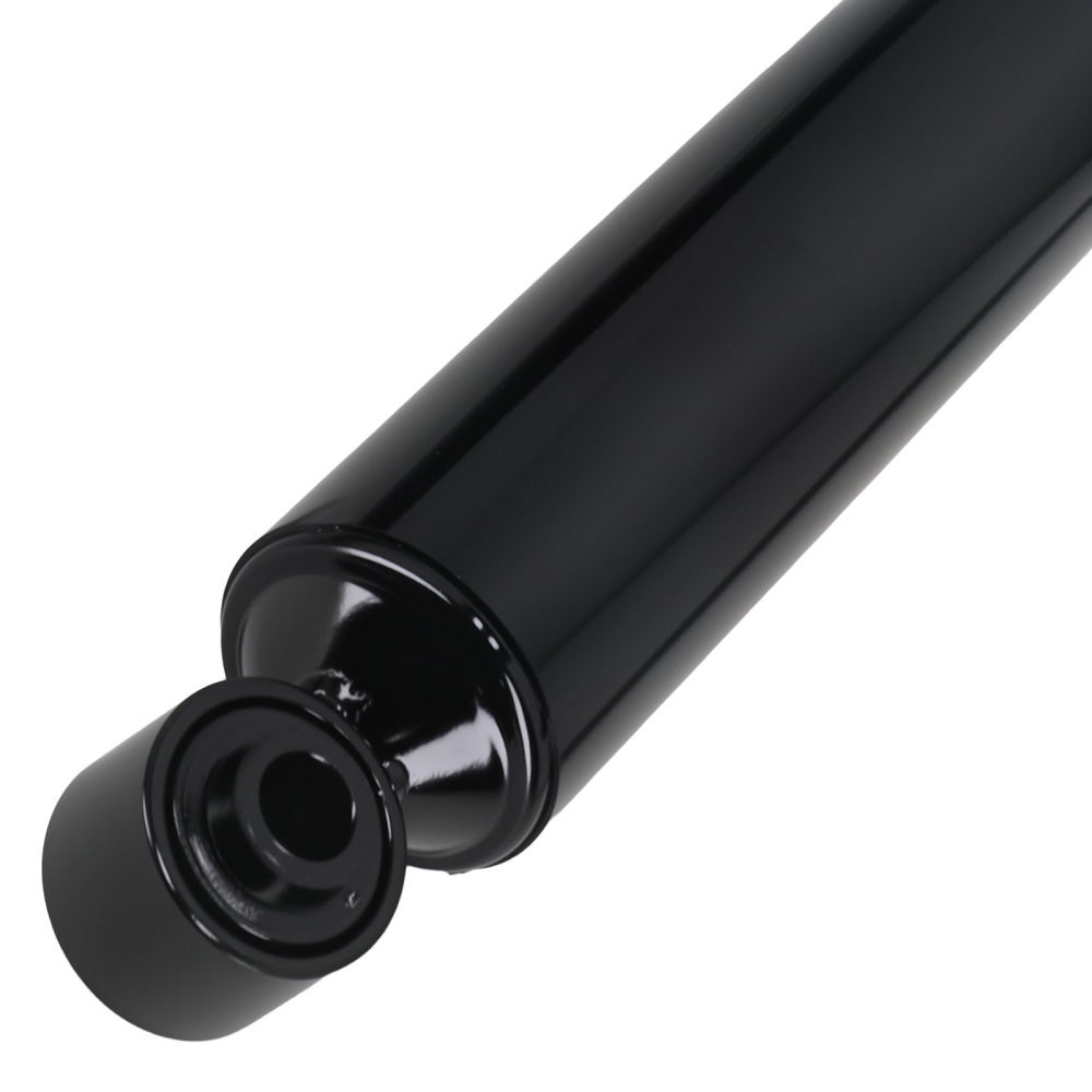 2x Ammortizzatore compatibile per FIAT PANDA 03-13 348005 Posteriore 51857284 51857281