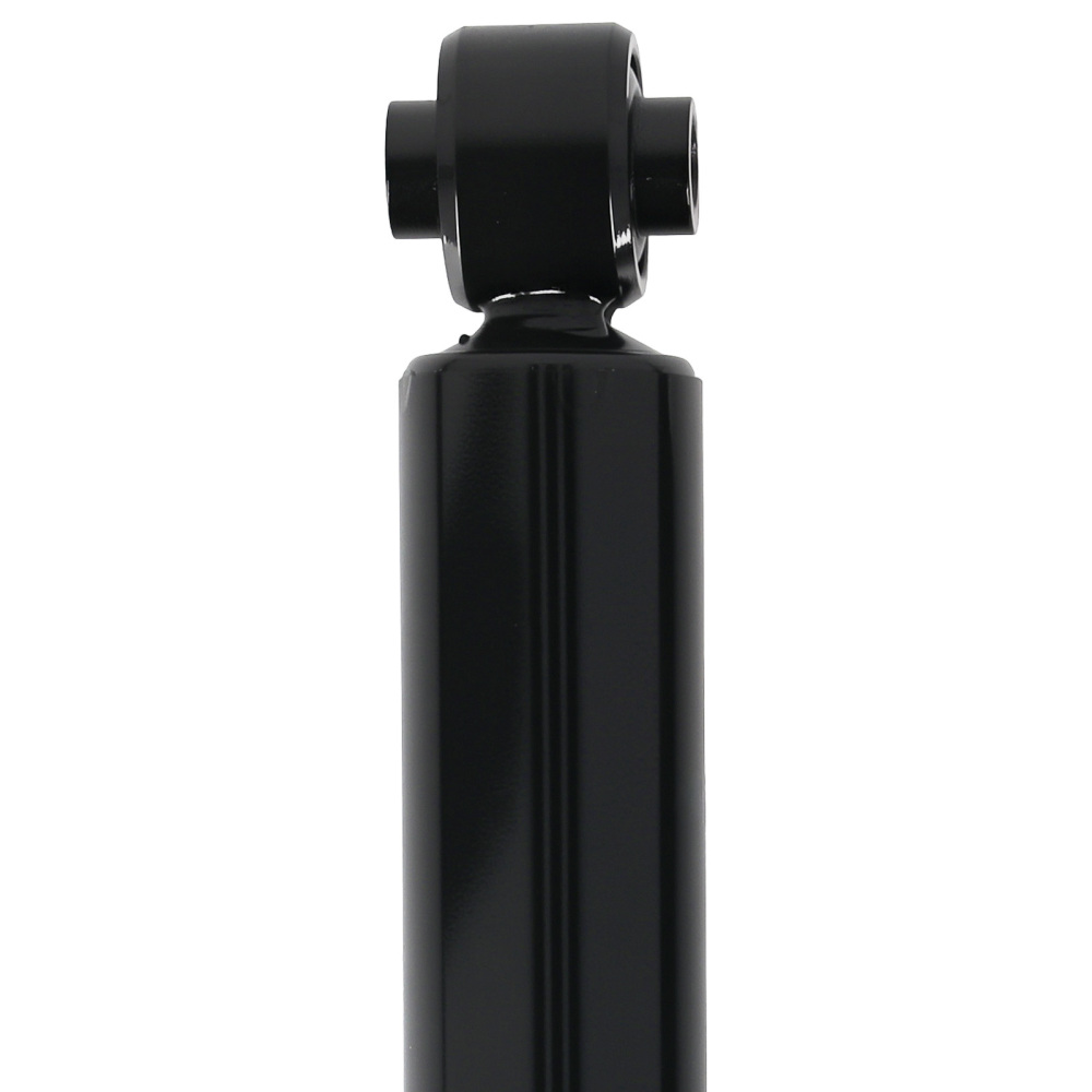 2x Ammortizzatore Posteriore compatibile per Opel Signum 2003-2008 436298 93187199