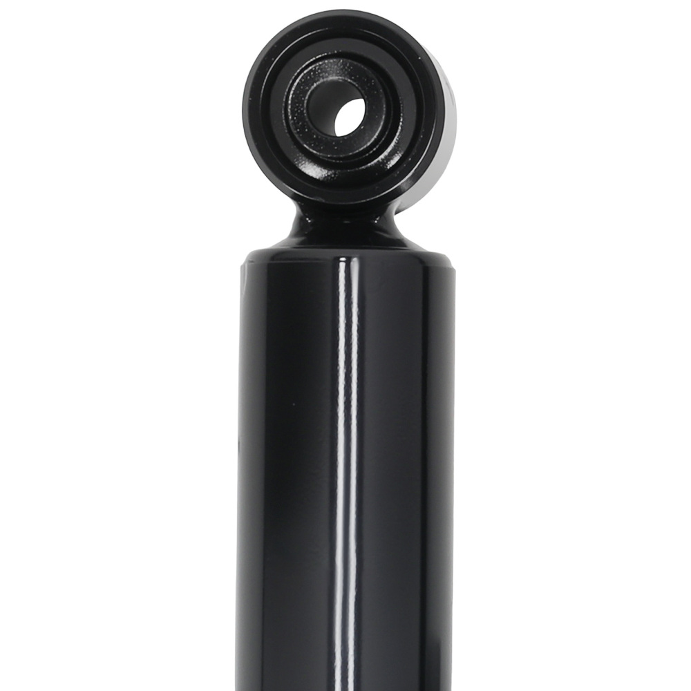 2x Ammortizzatore Posteriore compatibile per Opel Signum 2003-2008 436298 93187199