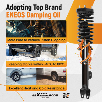MaXpeedingrodss Struts Assembly Compatible for Dodge Charger 2006-2010