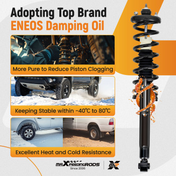 1 Pair Rear OE Replacement Shock Struts Assy compatible for Honda Accord compatible for Acura TL 2003-2007 2004-2008