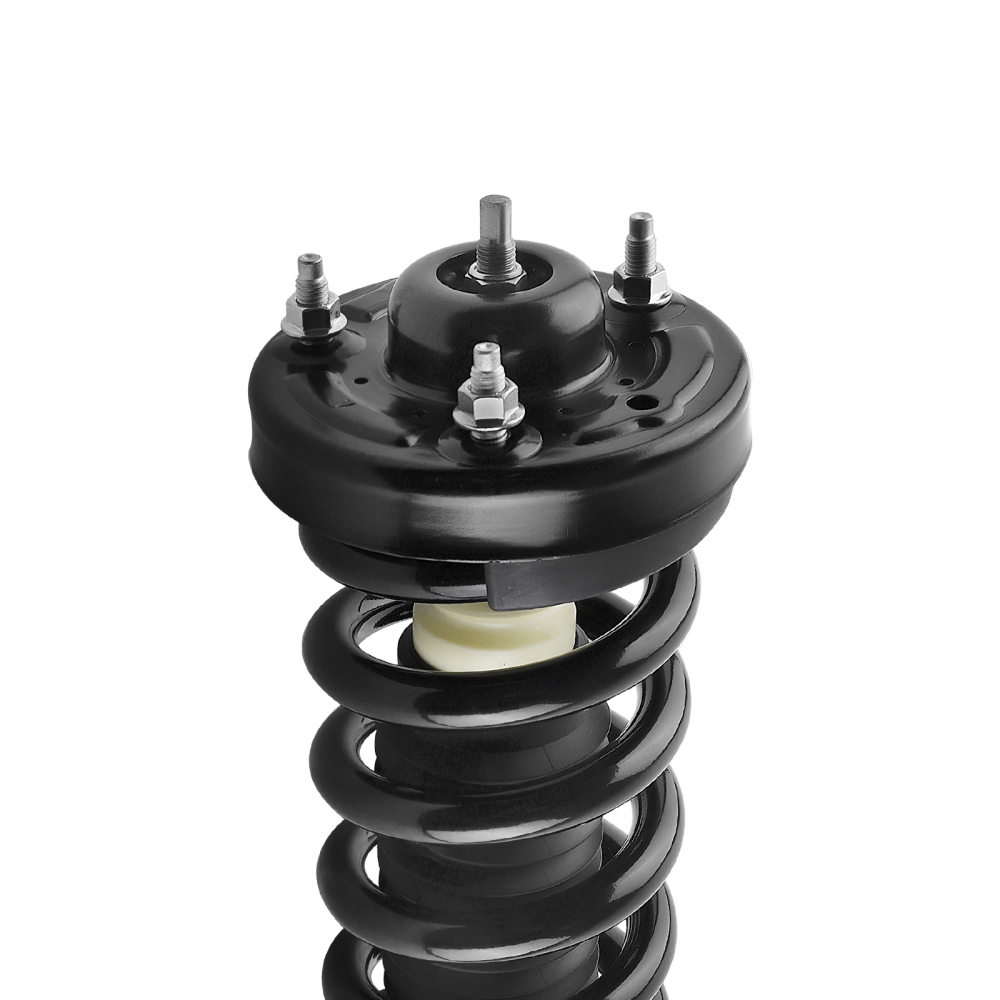 Compatible for Ford F-150 2009-2013 maXpeedingrodss Strut Assembly