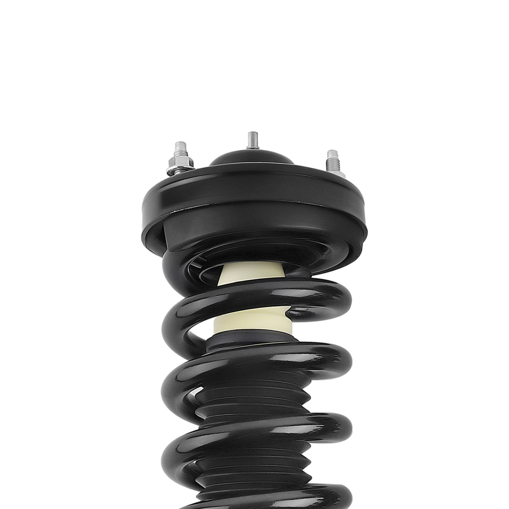 Compatible for Ford F-150 2009-2013 maXpeedingrodss Strut Assembly