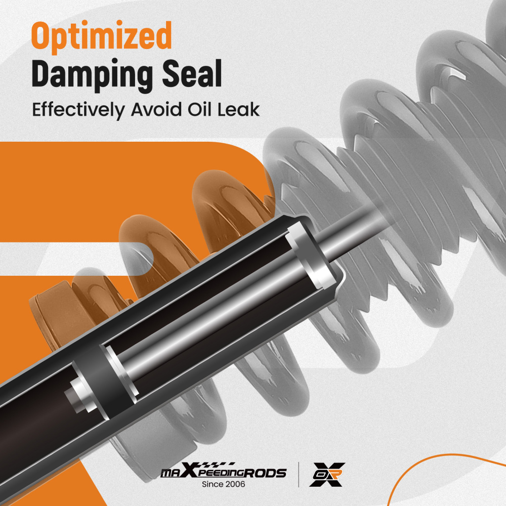 Compatible for Ford F-150 2009-2013 maXpeedingrodss Strut Assembly