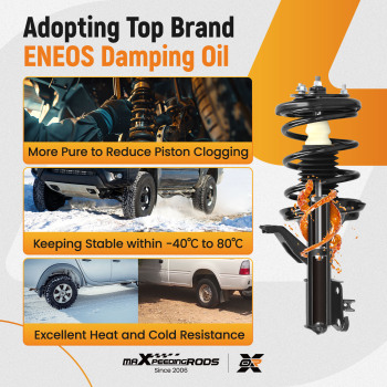 Front Struts w/ Coil Springs compatible for Honda Civic 2003-2005 SI/LX/EX/DX Sedan/Coupe