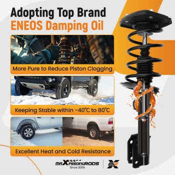 Rear Struts w/ Coil Spring Assembly compatible for Pontiac Grand Prix 2008 172471L 172471R