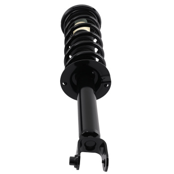 2pcs Complete Struts Springs for 2009-2014 compatible for Acura TL Rear Pair 1345793R, 1345793L