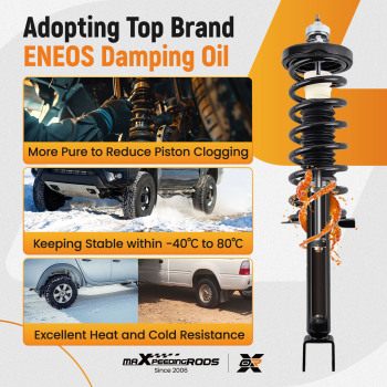 2x Rear Shock Struts Assembly compatible for Honda Accord 2013-2017 2.4 / 2.0LITER L4