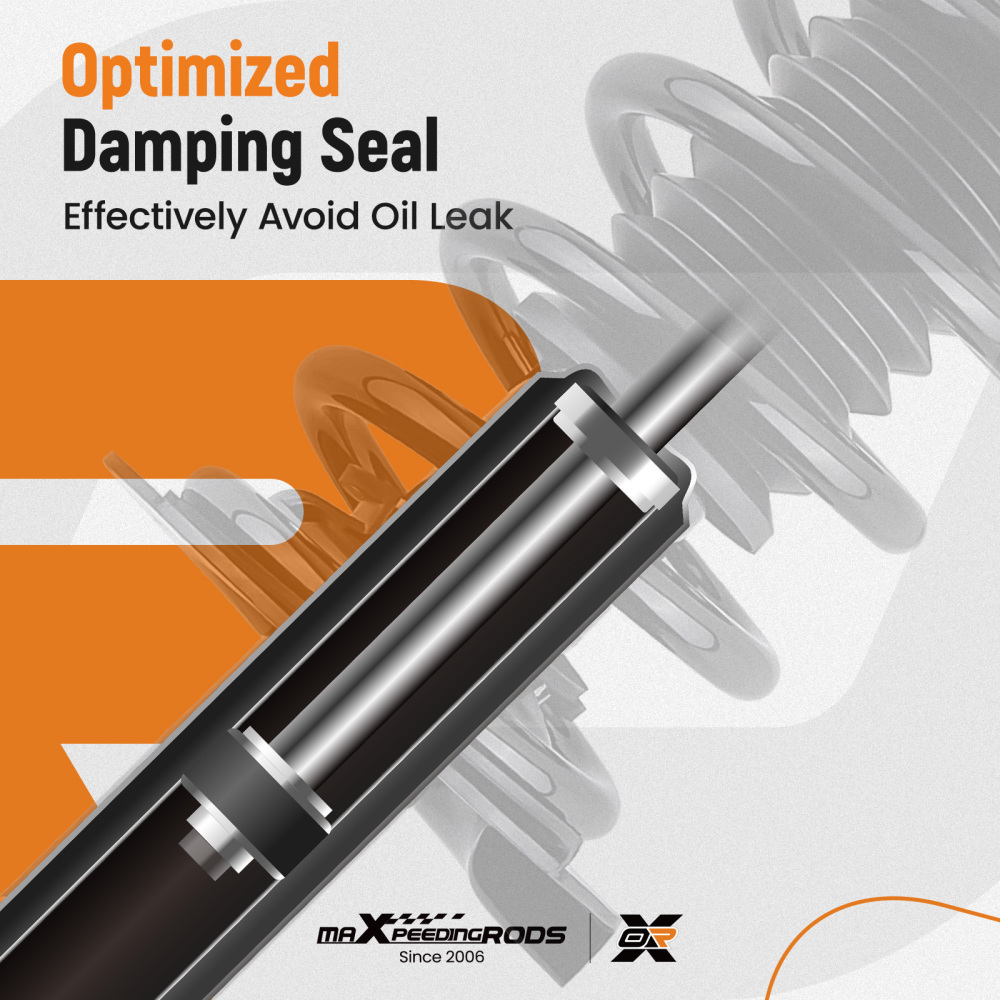 Rear Strut Spring Sway bar Assembly compatible for Honda Accord 2013-2017 2.4L/2.0L