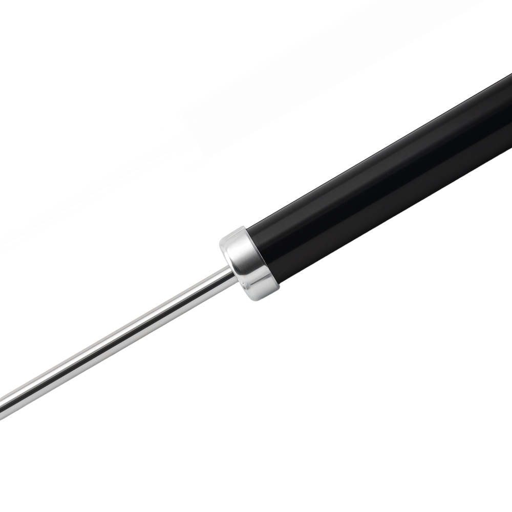 Rear Complete Shock Strut Assembly compatible for Suzuki Swift 2005-2011 4180062J01