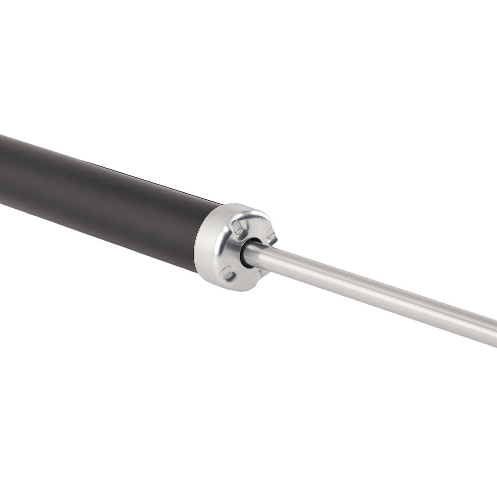 Rear Complete Shock Strut Assembly compatible for Suzuki Swift 2005-2011 4180062J01