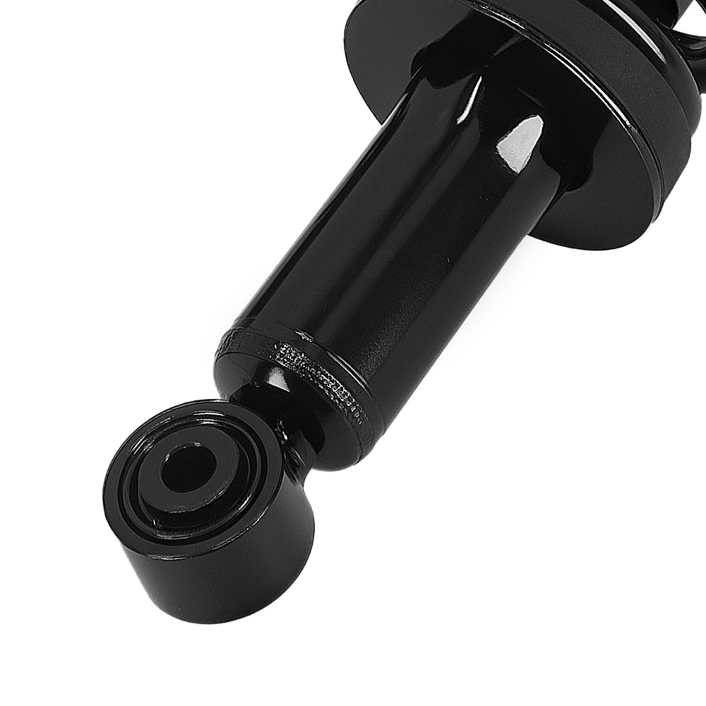 Front Struts w/ Coil Spring Sway Bars for 2002 2003 2004 2005 2006 compatible for Toyota Tundra