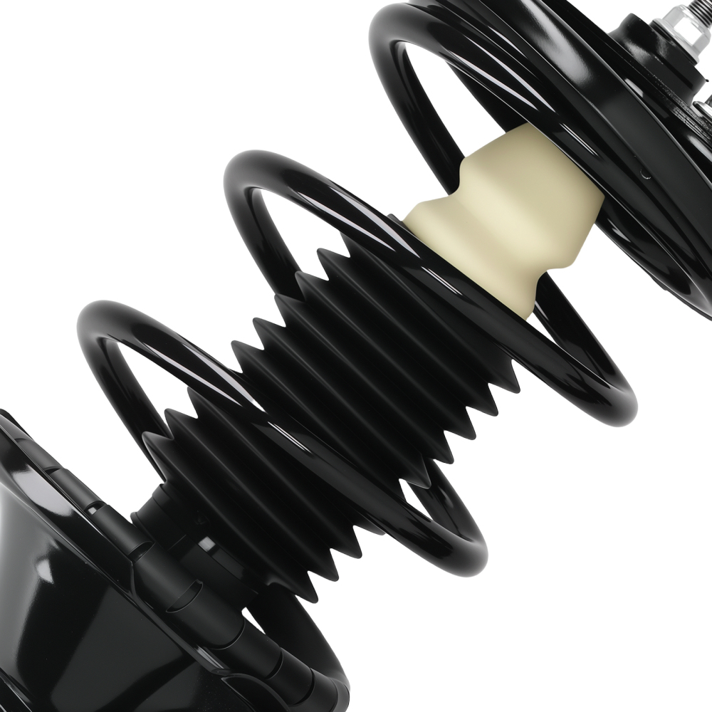 Front Rear Struts w/Coil Spring Assembly compatible for Honda Civic compatible for Acura EL 2001 2002 2003