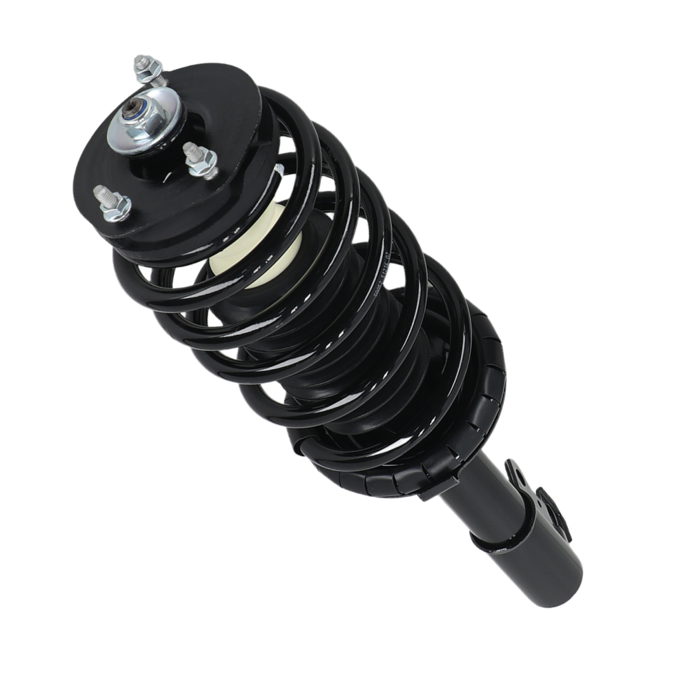 Front Complete Struts 171924 compatible for Saturn SC SC1 SC2 SL SL1 SL2 SW1 SW2 1991-2002