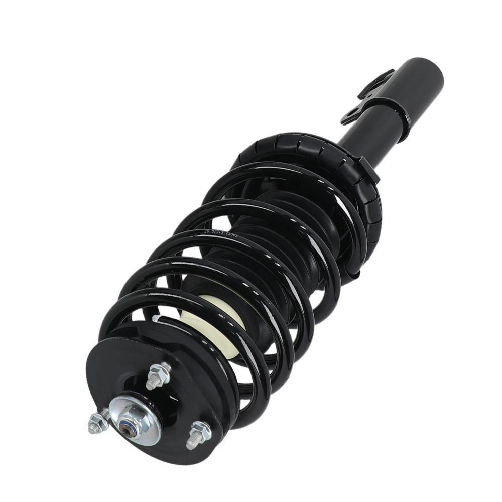 Front Complete Struts 171924 compatible for Saturn SC SC1 SC2 SL SL1 SL2 SW1 SW2 1991-2002
