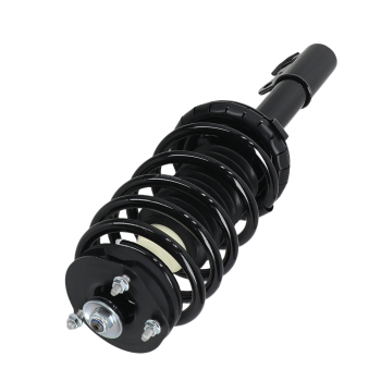 Front Complete Struts 171924 compatible for Saturn SC SC1 SC2 SL SL1 SL2 SW1 SW2 1991-2002