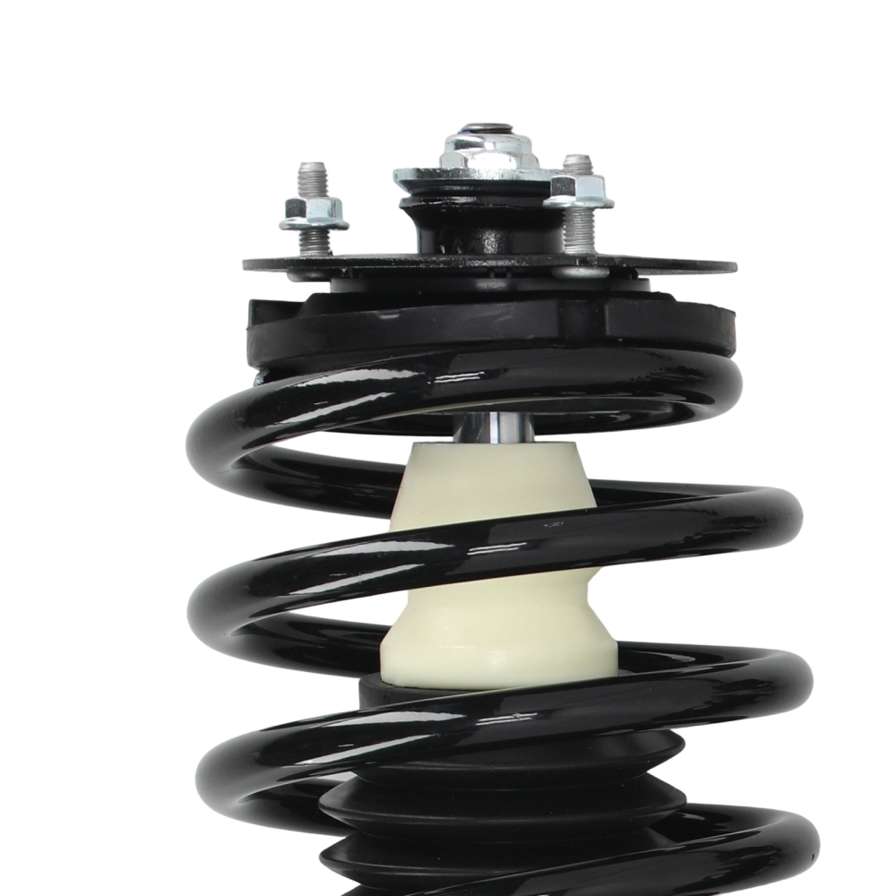 Front Complete Struts 171924 compatible for Saturn SC SC1 SC2 SL SL1 SL2 SW1 SW2 1991-2002