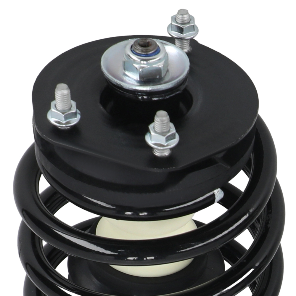 Front Complete Struts 171924 compatible for Saturn SC SC1 SC2 SL SL1 SL2 SW1 SW2 1991-2002