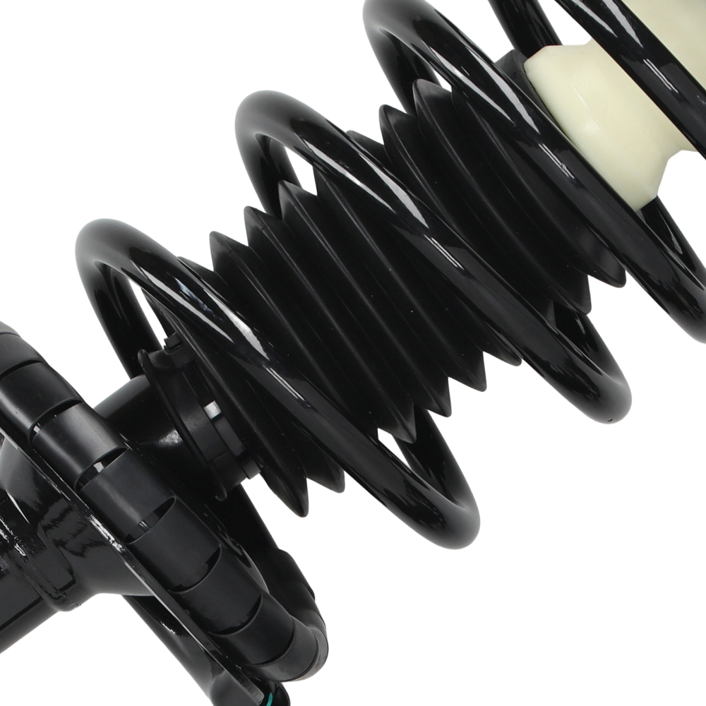 Front Complete Struts 171924 compatible for Saturn SC SC1 SC2 SL SL1 SL2 SW1 SW2 1991-2002