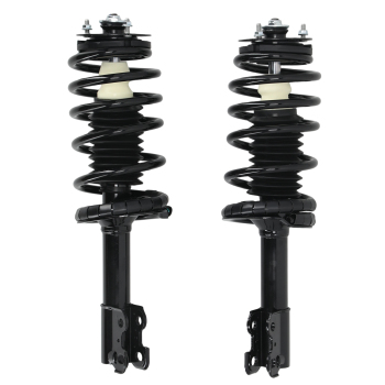 Front Complete Struts 171924 compatible for Saturn SC SC1 SC2 SL SL1 SL2 SW1 SW2 1991-2002