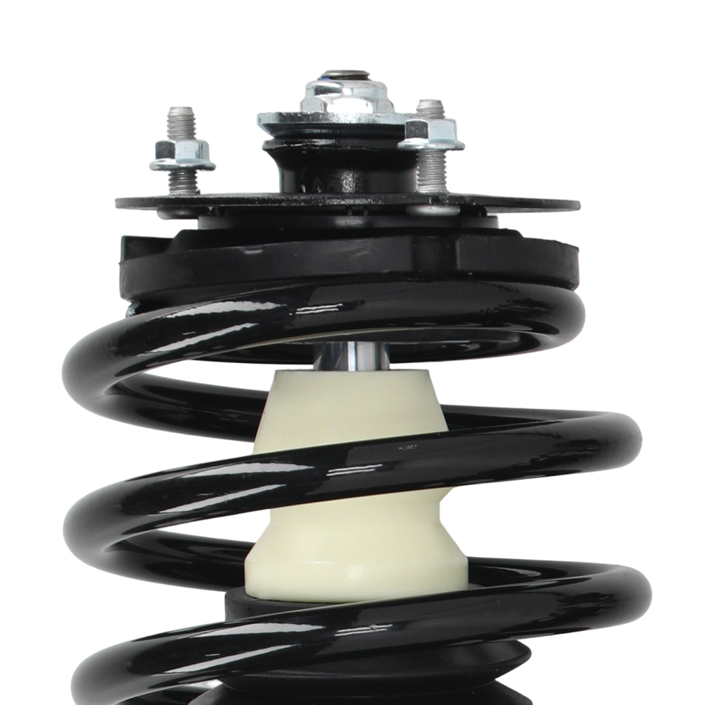 Rear Struts w/ Coil Spring for 1991 - 2002 compatible for Saturn SC SC1 SC2 SL SL1 SL2 SW1 SW2