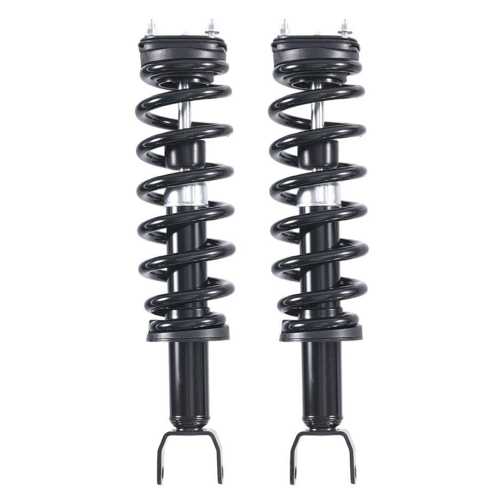 6pcs Suspension Rear Front Struts Assembly compatible for Dodge Ram 1500 2009-2010 4WD