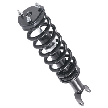 6pcs Suspension Rear Front Struts Assembly compatible for Dodge Ram 1500 2009-2010 4WD