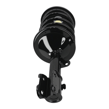 Front Shocks Struts w/ Coil Spring For 1999-2004 compatible for Honda Odyssey 3.5L LH+RH 171597