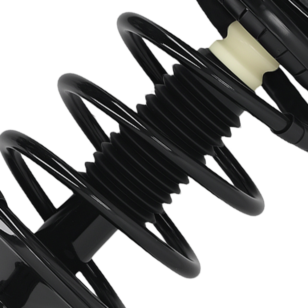 Front Shocks Struts w/ Coil Spring For 1999-2004 compatible for Honda Odyssey 3.5L LH+RH 171597