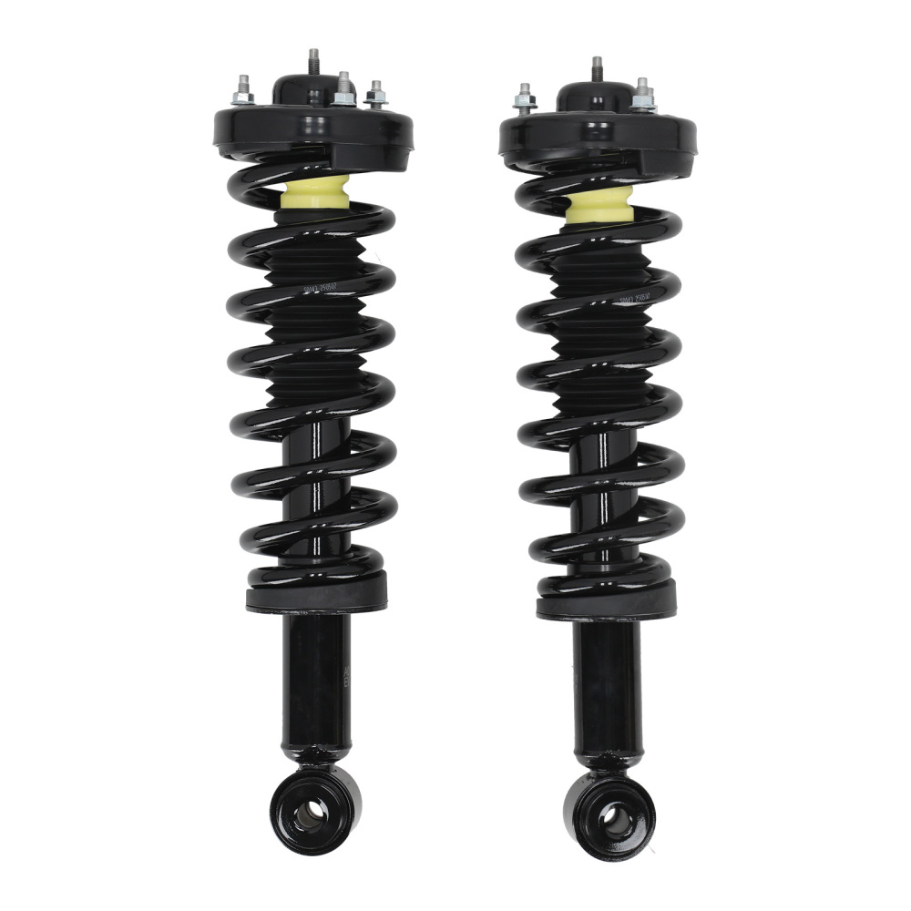Set of 2 Front Struts w/Coil Springs Assembliy compatible for Ford F-150 2004-2008