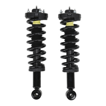Set of 2 Front Struts w/Coil Springs Assembliy compatible for Ford F-150 2004-2008