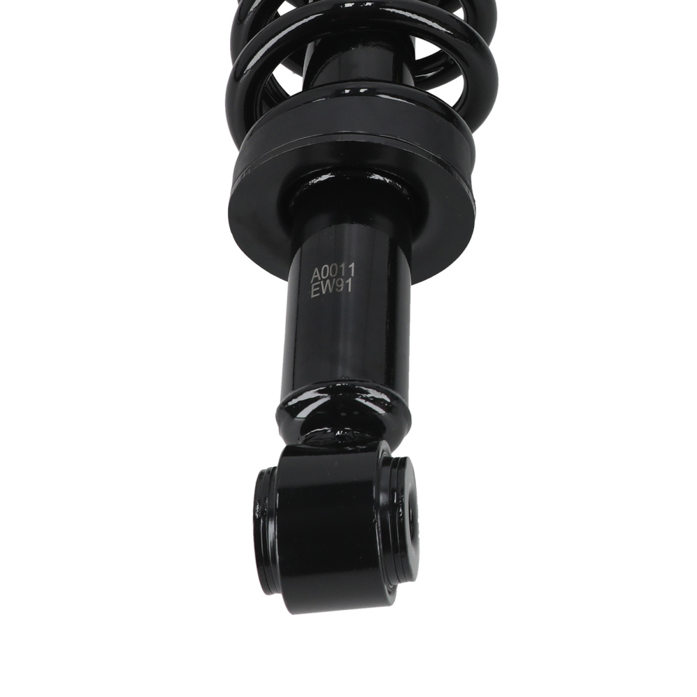 Set of 2 Front Struts w/Coil Springs Assembliy compatible for Ford F-150 2004-2008