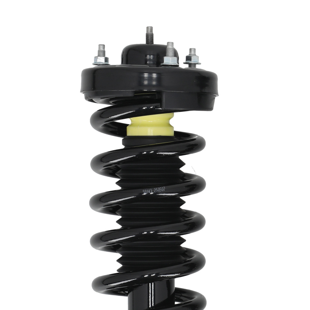 Set of 2 Front Struts w/Coil Springs Assembliy compatible for Ford F-150 2004-2008