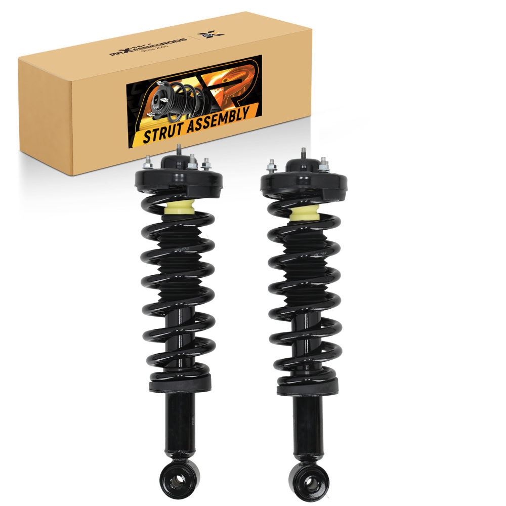 Set of 2 Front Struts w/Coil Springs Assembliy compatible for Ford F-150 2004-2008