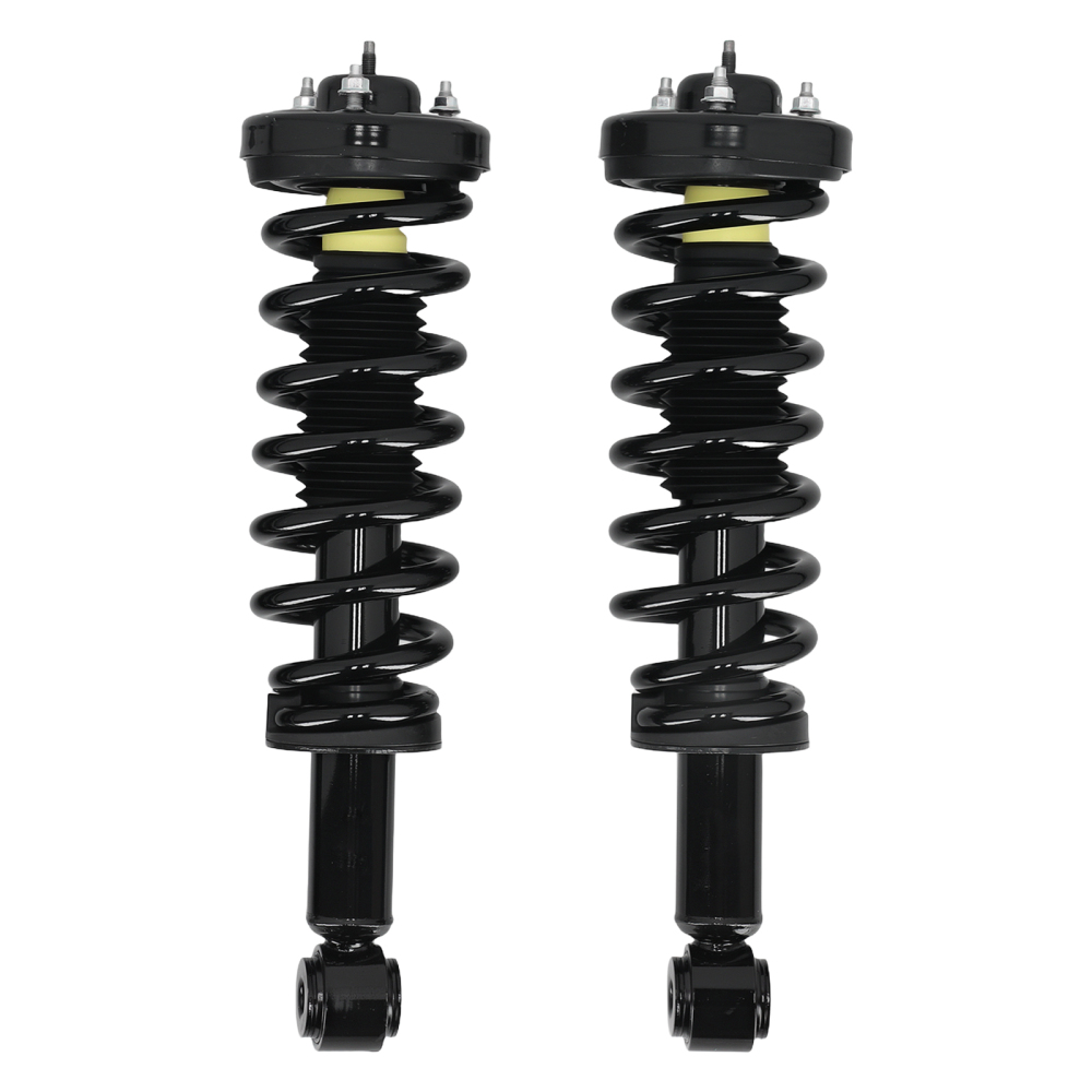 4X Suspension Rear Front Struts Assembly compatible for Ford F-150 04-08 4.2L 4.6L 5.4L