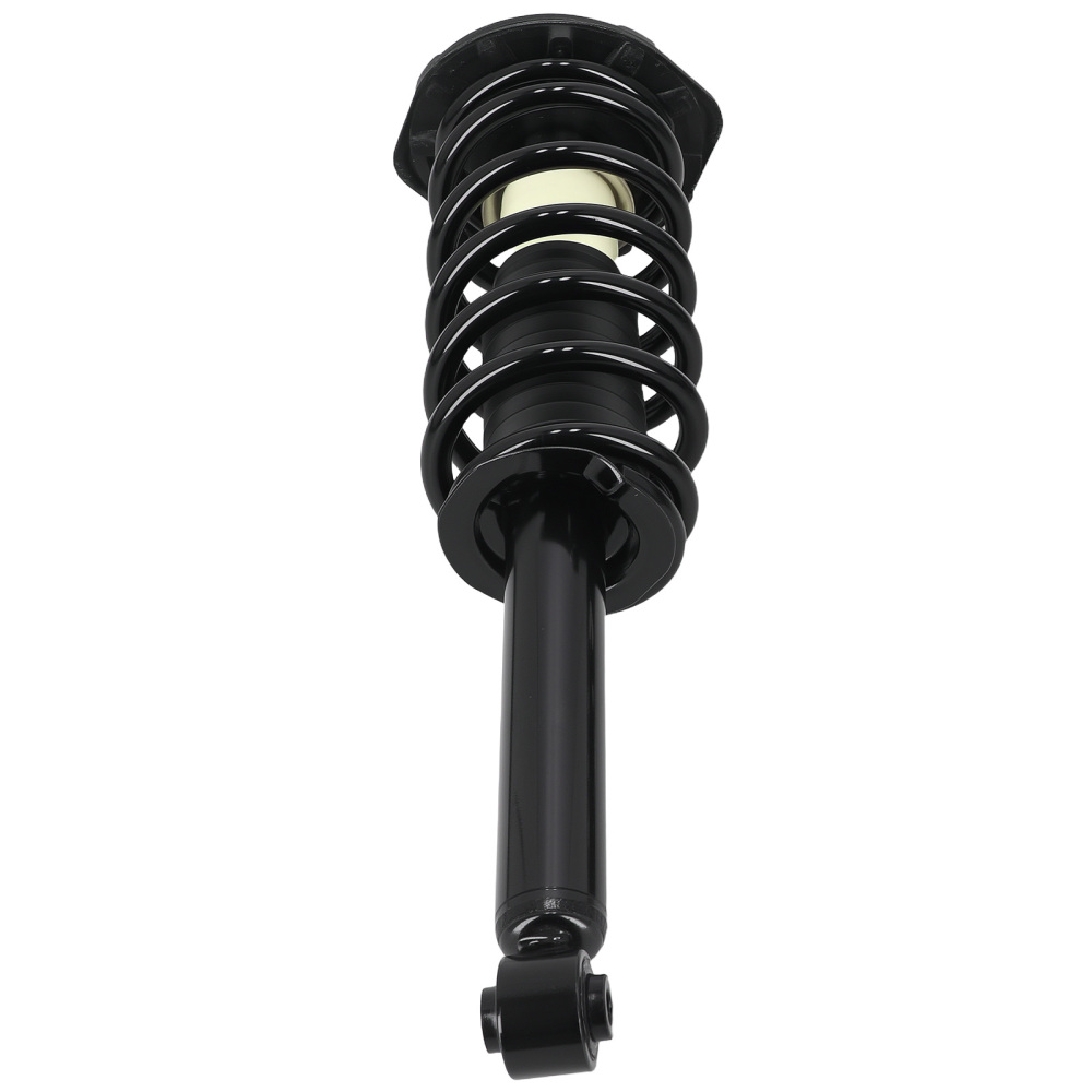 Quick Complete Rear Struts Assembly compatible for Infiniti I30 2000-2001 I35 2002-2004