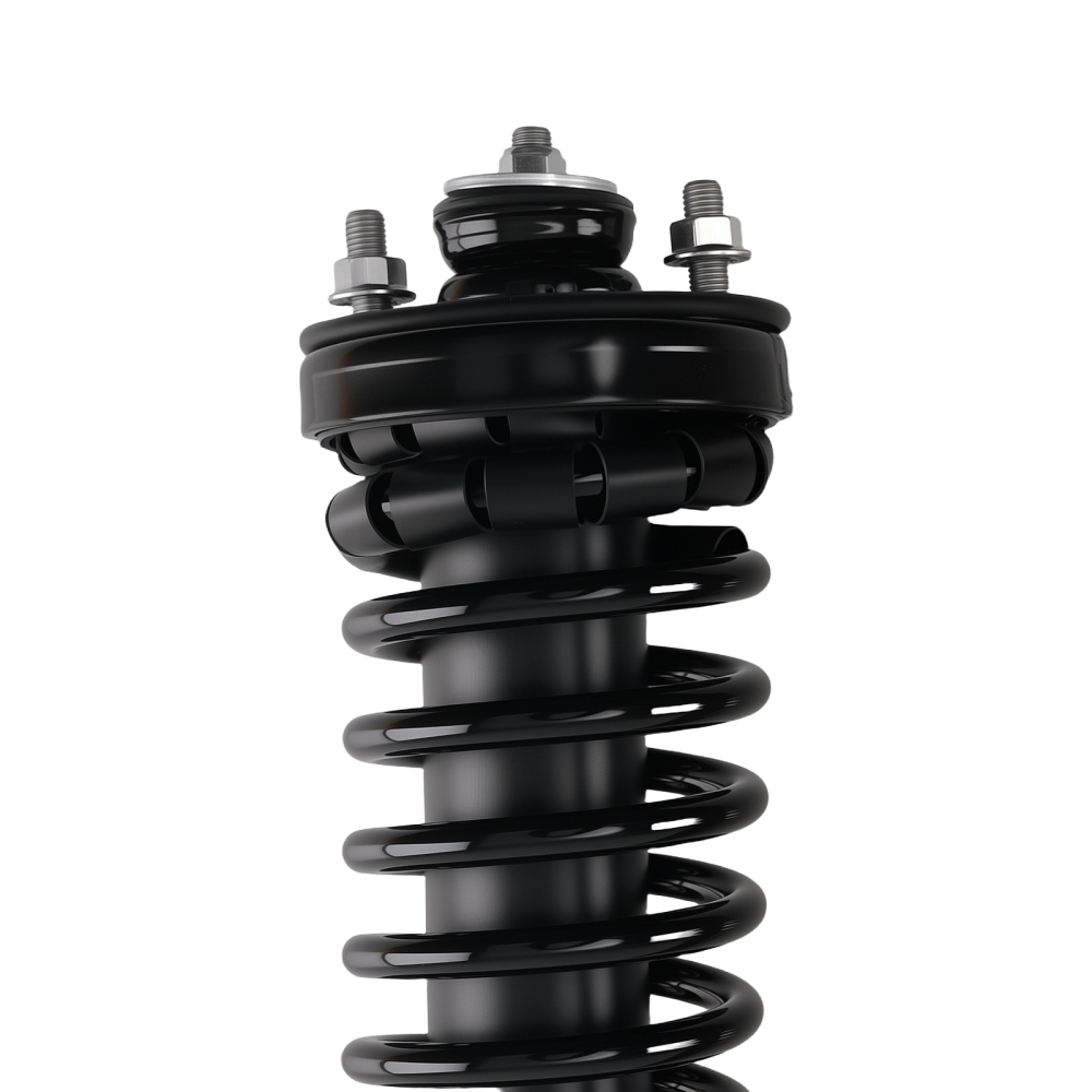 FrontRear Strut Coil Spring for 1996 1997 1998 1999 2000 compatible for Honda Civic compatible for Acura CL