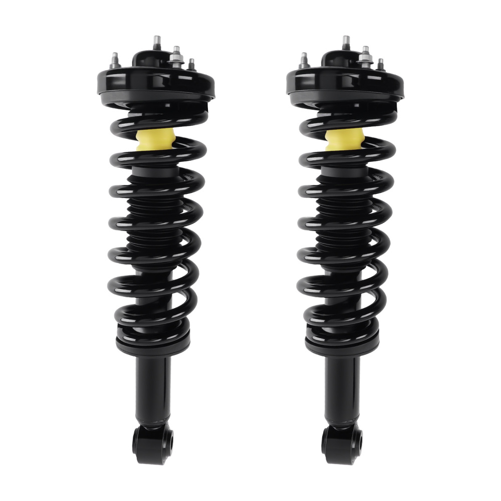 Front + Rear Struts w/Coil Spring compatible for Ford F-150 2009-2013 RWD 3.5L 3.7L 5.0L