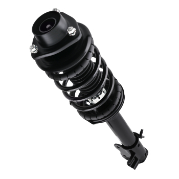 Rear Struts w/ Coil Spring Assembly compatible for Nissan Altima 1993-1999 171943 171944